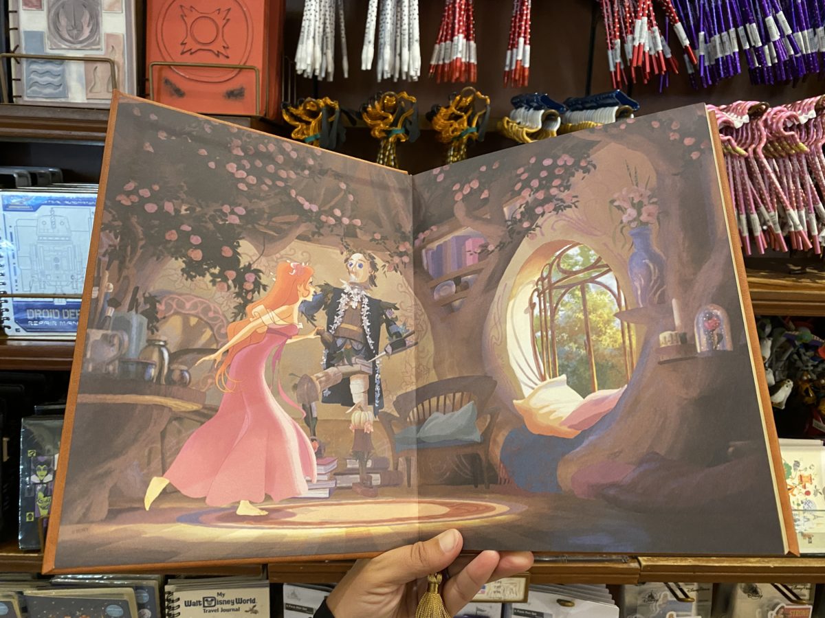 enchanted-storybook-journal-inside-magic-kingdom-11192020-4944775