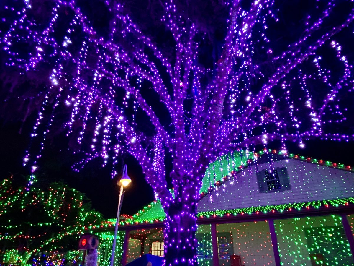 night-of-a-million-lights-give-kids-the-world-media-2020_43