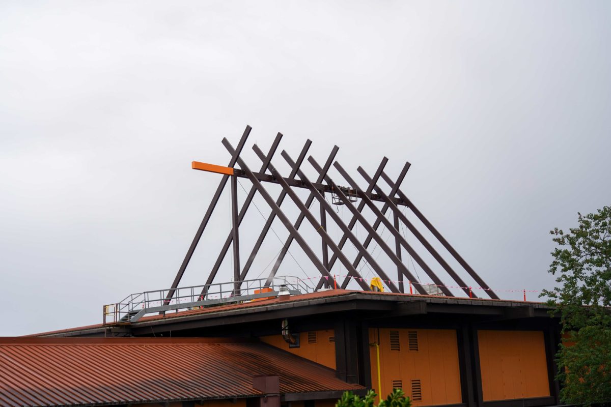polynesian-village-resort-construction-2-9087429