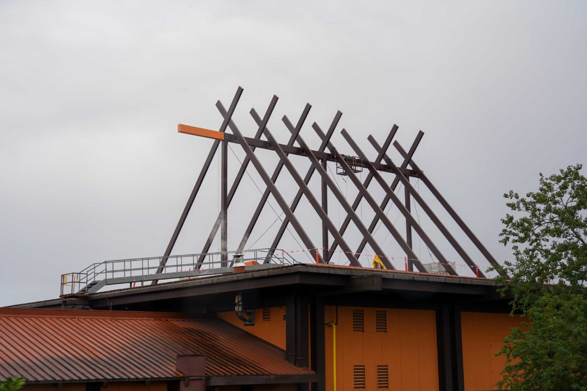 polynesian-village-resort-construction-3-3872394