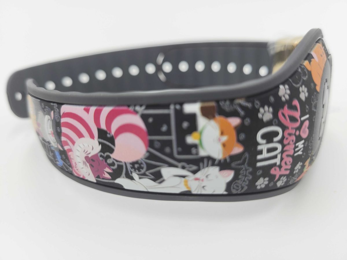cats-dooney-magicband-255