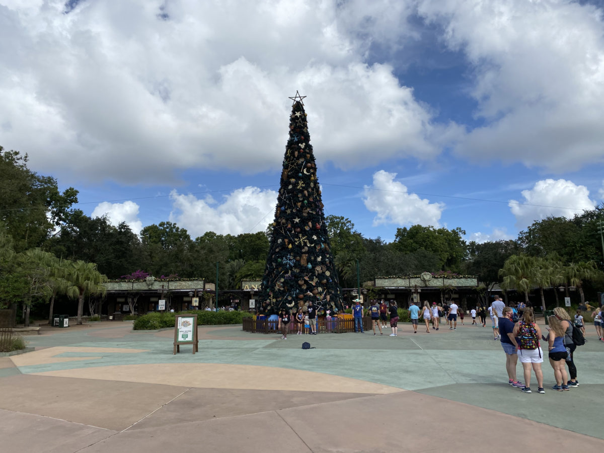 dak-christmas-decor-1412