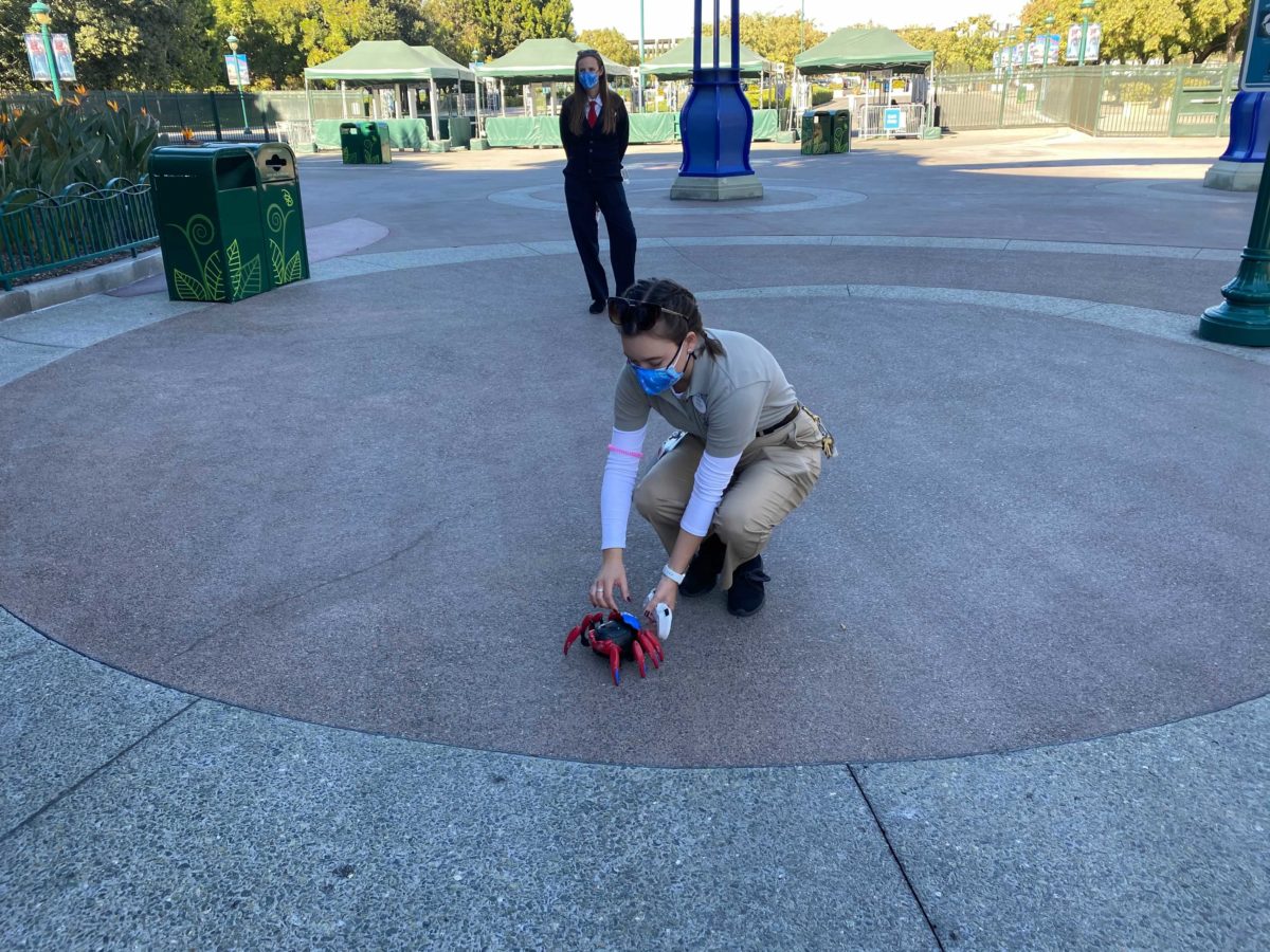disneyland-web-spiderbot-0-7351504
