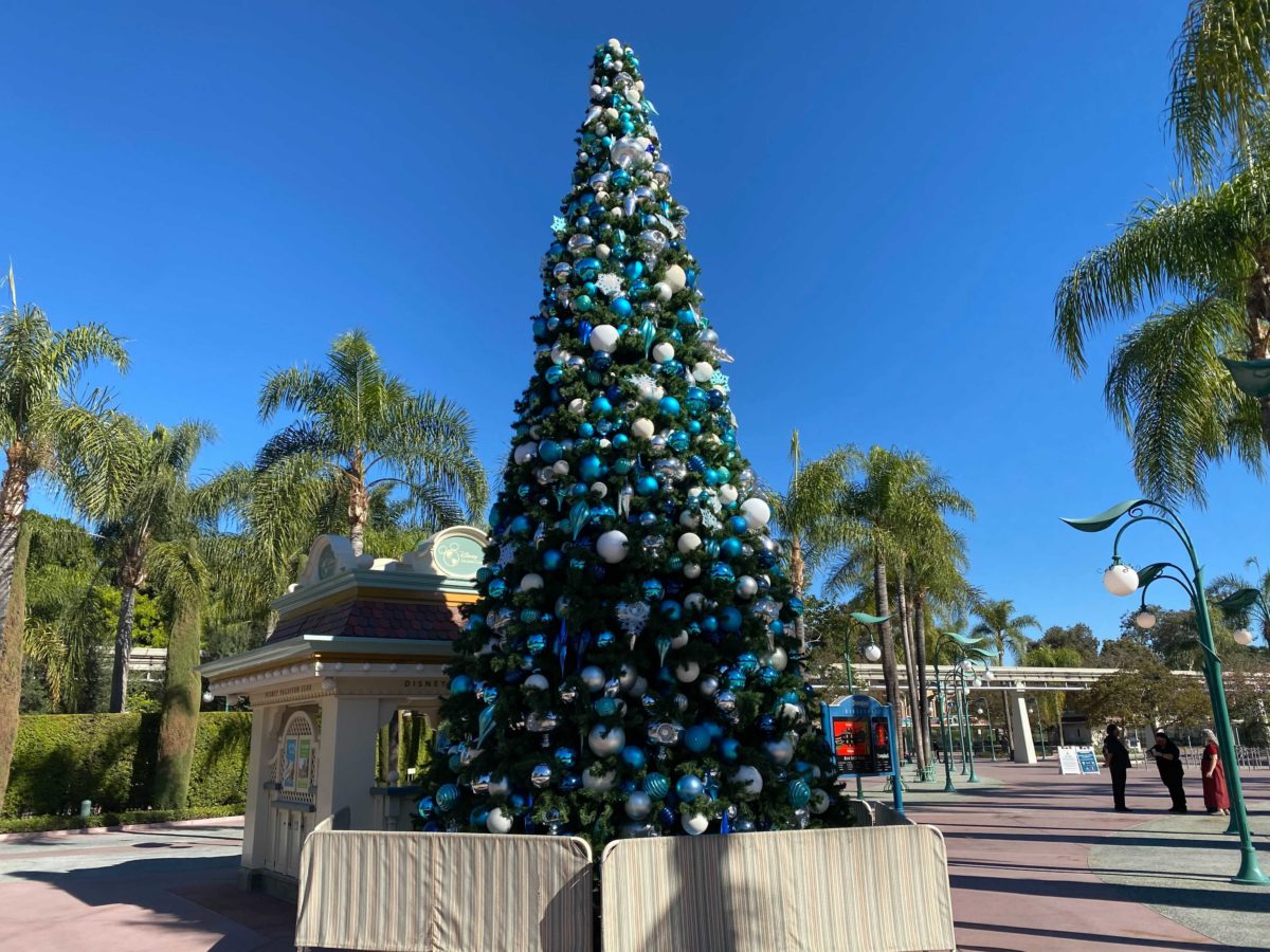 PHOTOS, VIDEO: Christmas Decorations Appear at Downtown ...