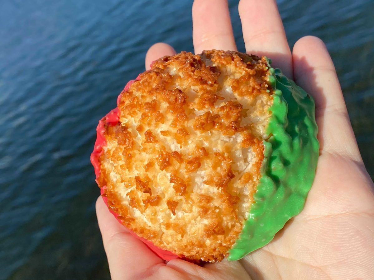 holiday-coconut-macaroon-12