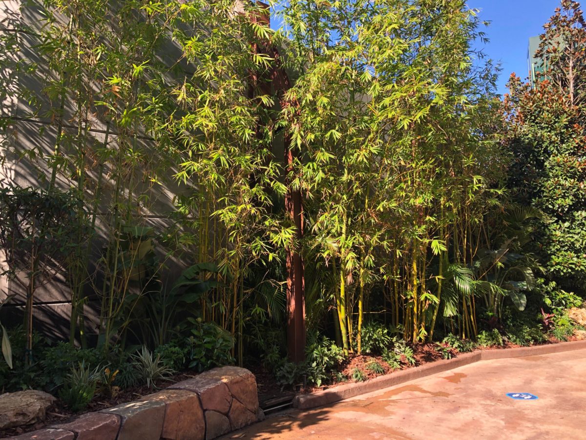 jurassic-park-hogwarts-walls-down-8