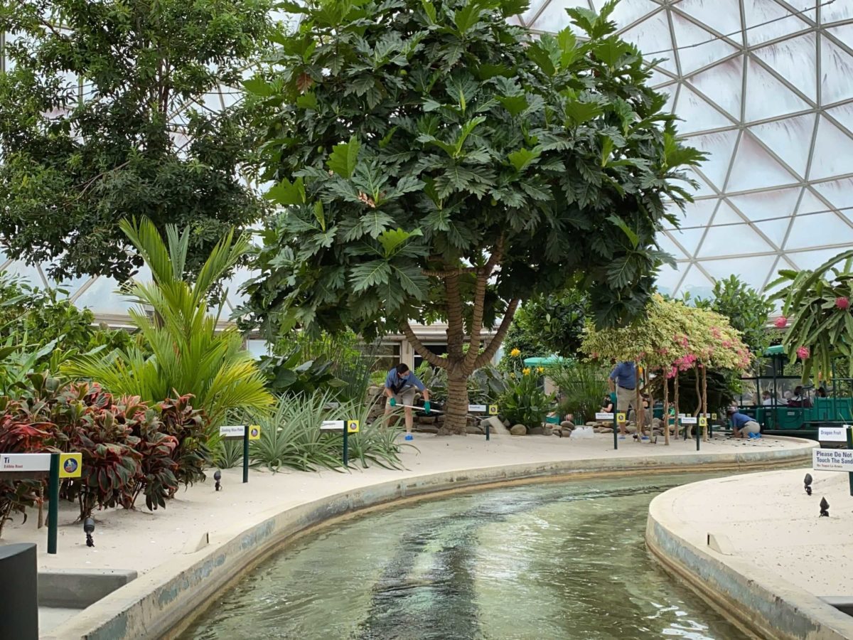 living-with-the-land-holiday-decorations-installation-1