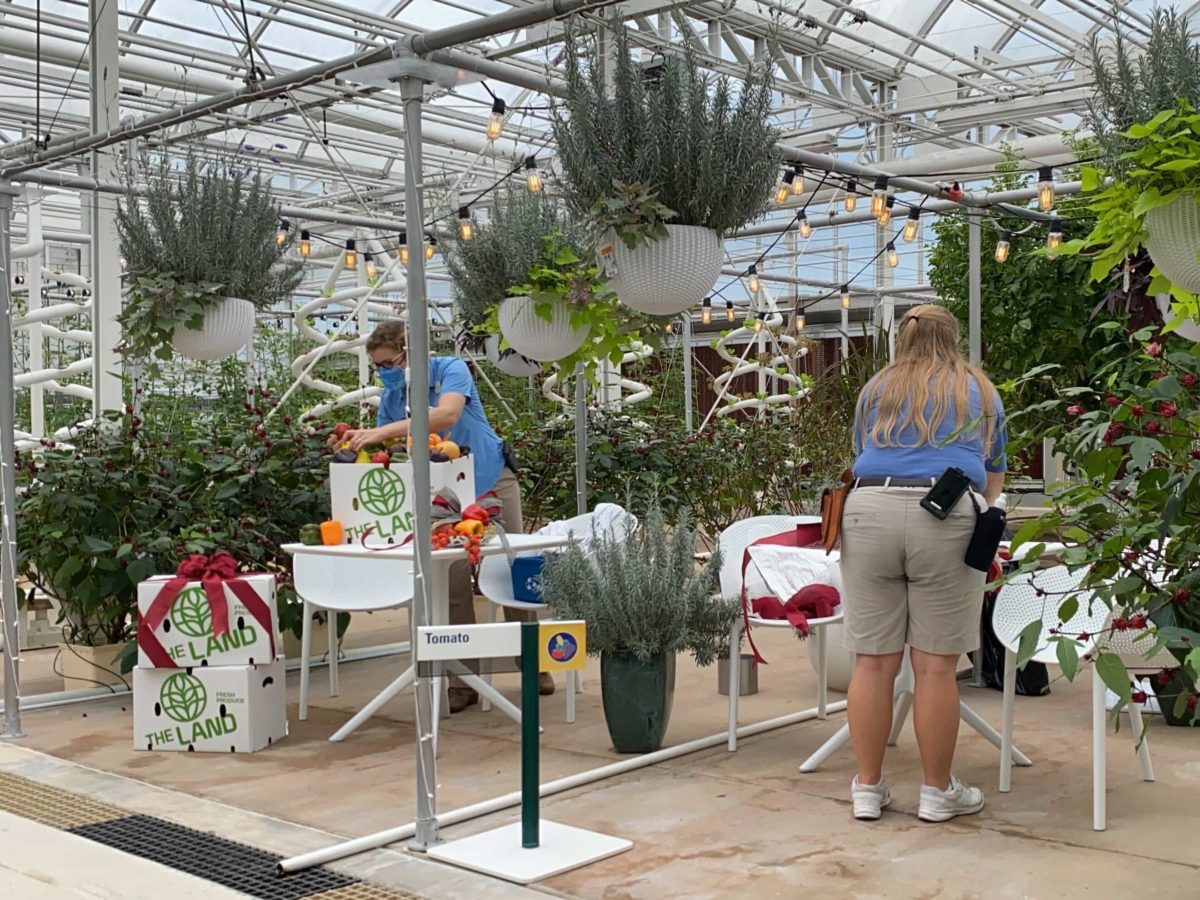 living-with-the-land-holiday-decorations-installation-27