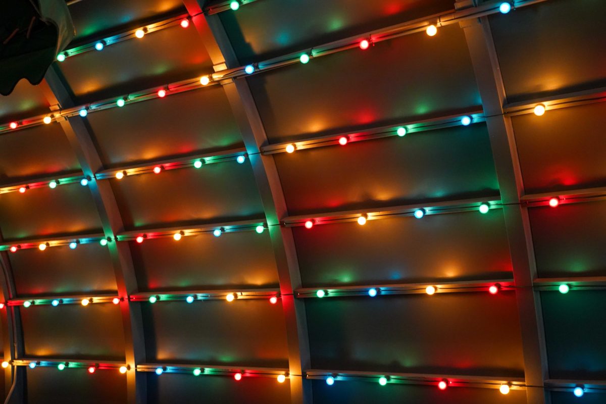 living-with-the-land-holiday-lights-debut-2