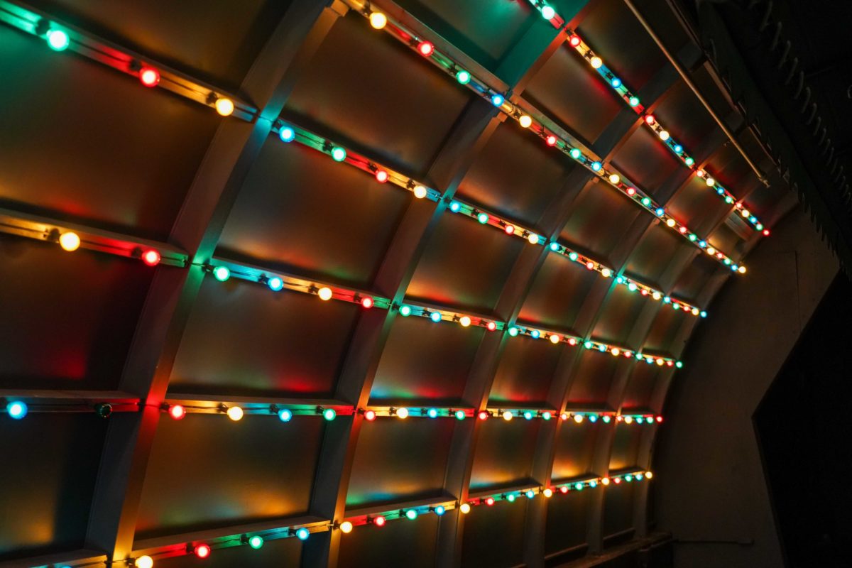 living-with-the-land-holiday-lights-debut-3