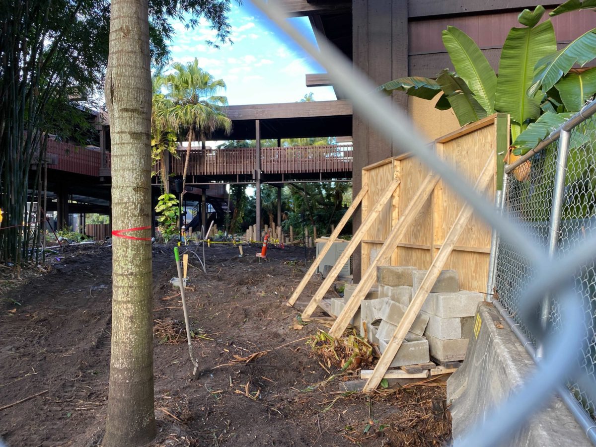polynesian-11-17-18