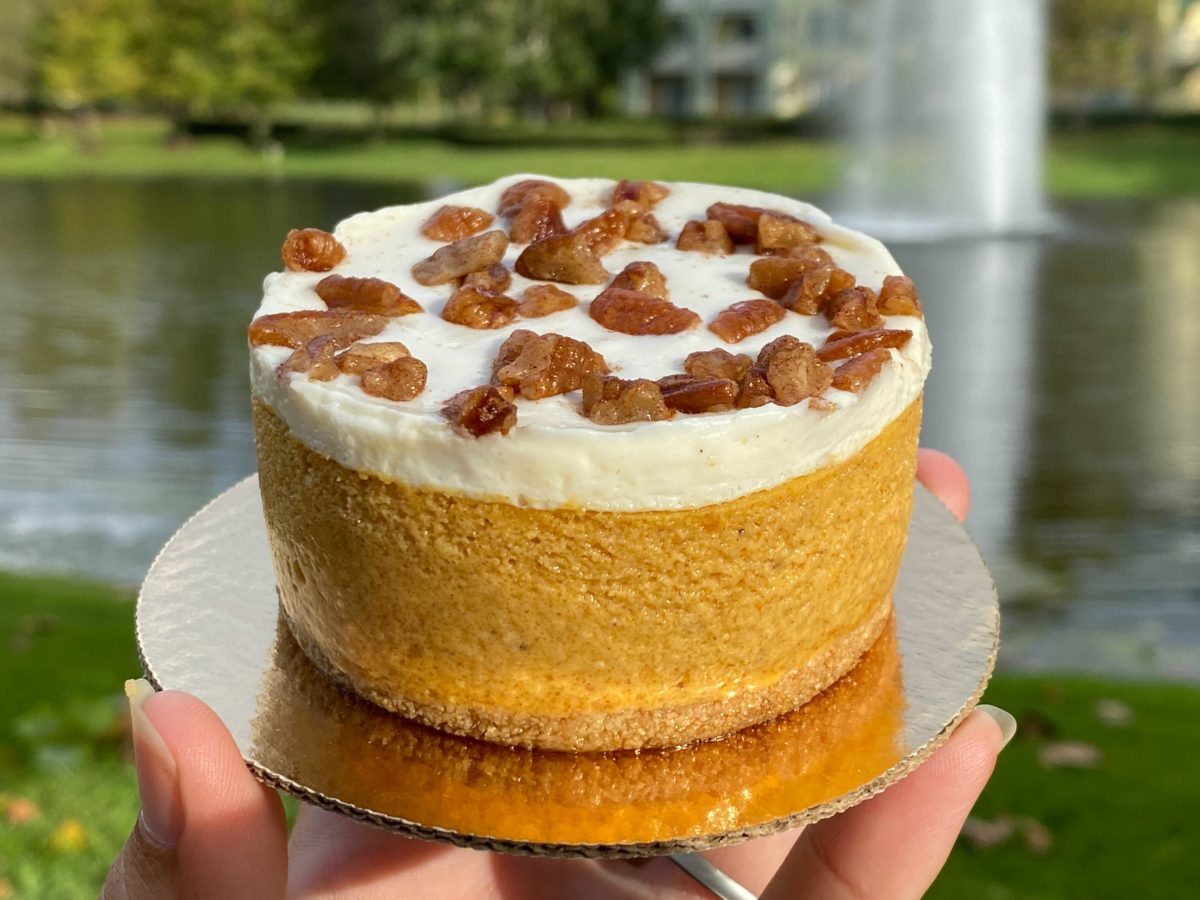 pumpkin-cheesecake-3-2