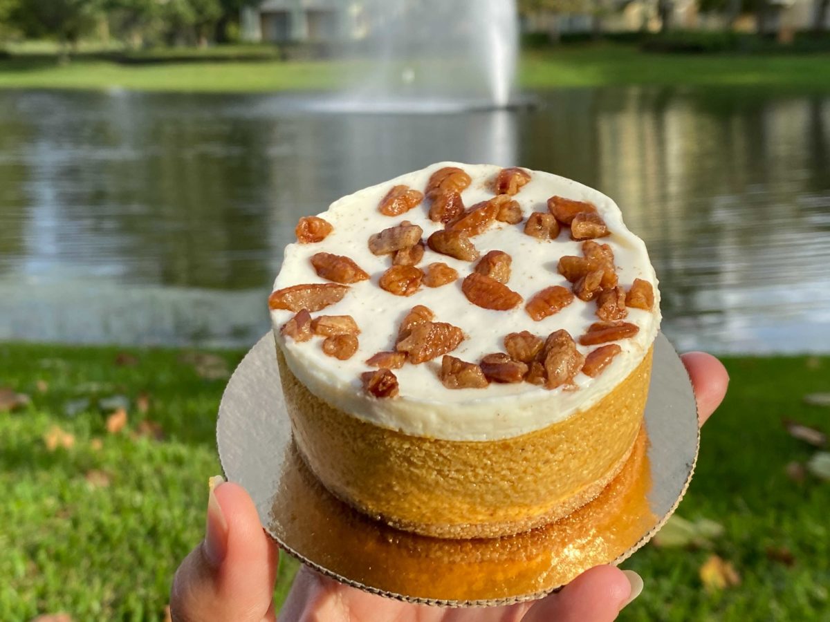 pumpkin-cheesecake-5-2