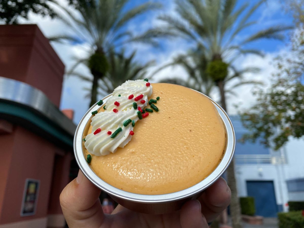 pumpkin-pie-cheesecake-17