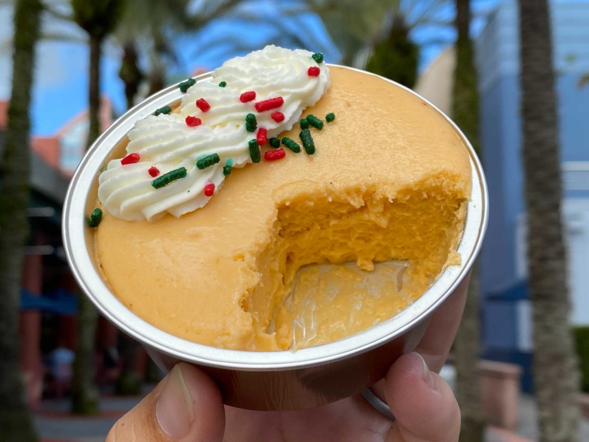 pumpkin-pie-cheesecake-19