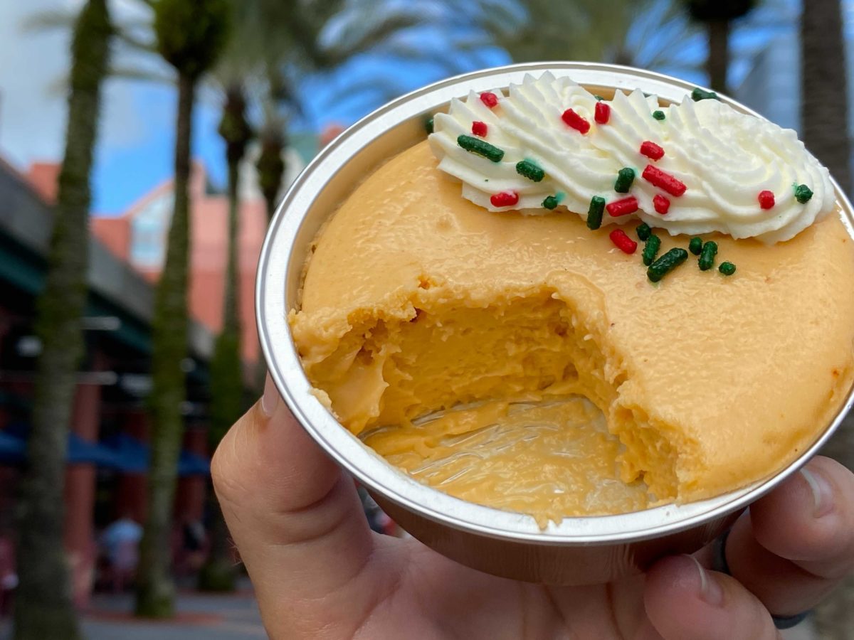pumpkin-pie-cheesecake-20