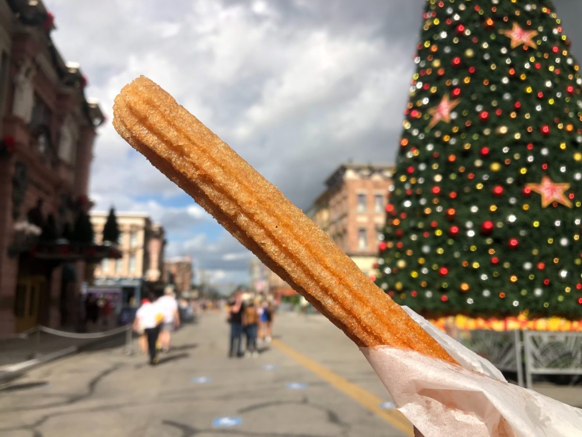 pumpkin-spice-churro-usf-universal-holiday-treat-trail-10-7402541