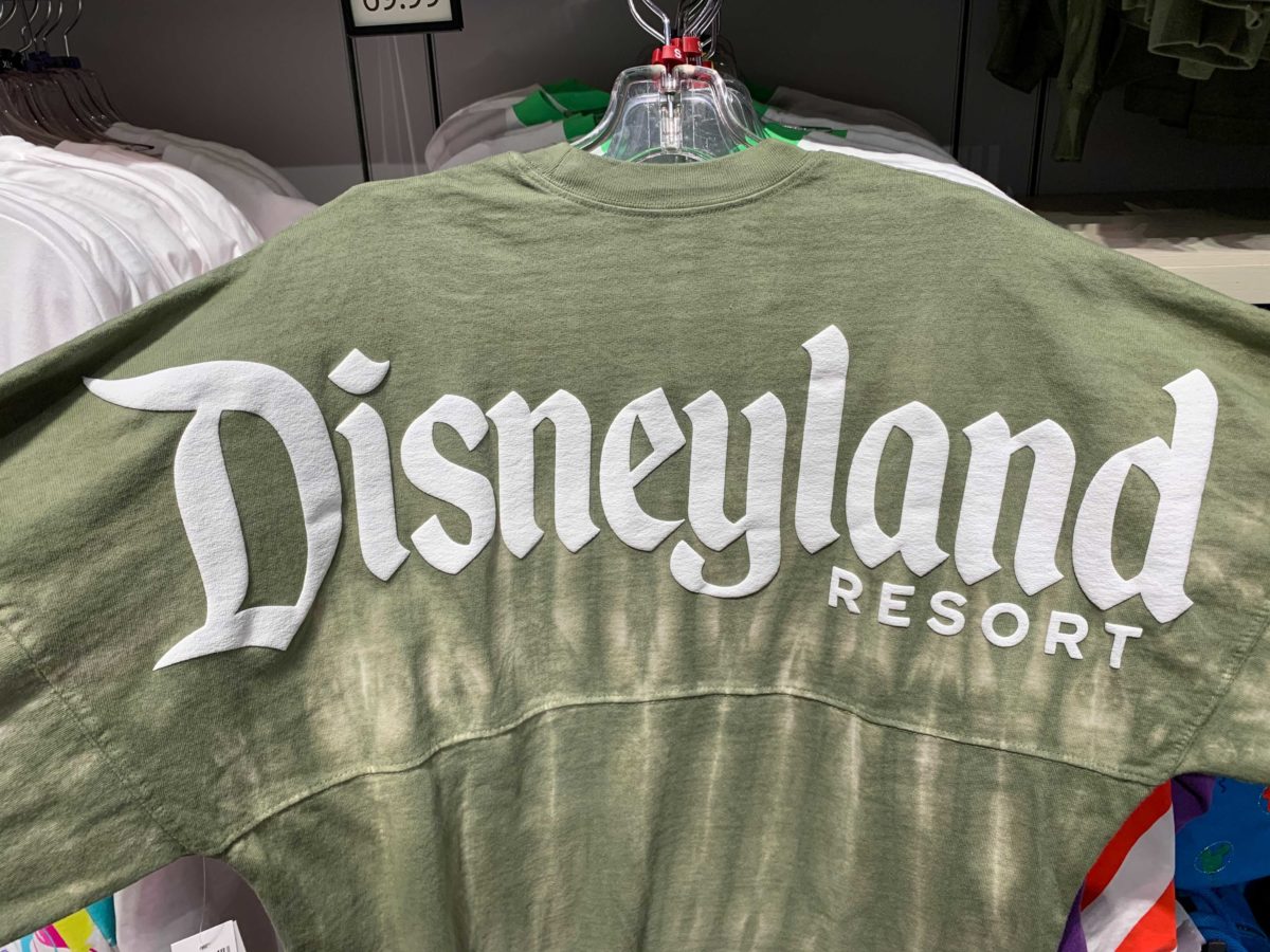 spirit jersey disneyland