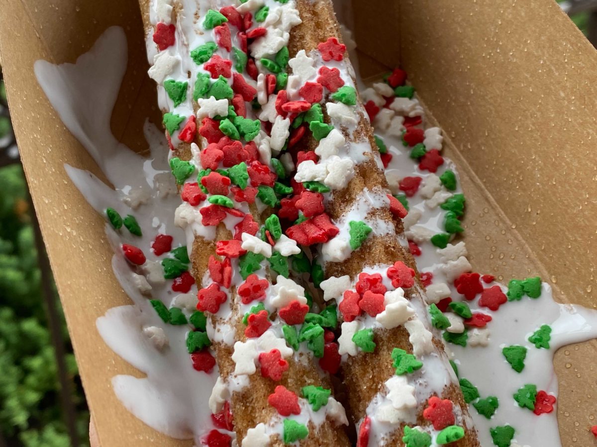sugar-and-spice-churros-12