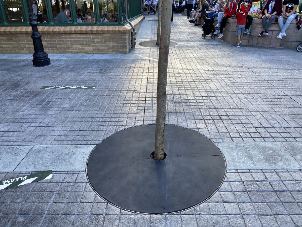 france-pavilion-tree-grates-removed-replaced-with-wood-epcot-12212020-7543614