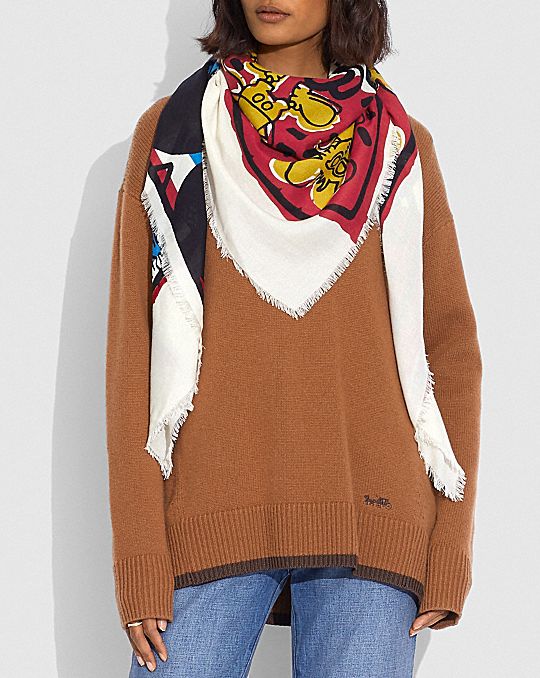 mickey-keith-haring-coach-27