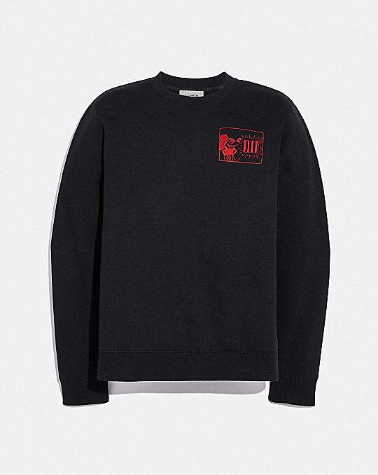 mickey-keith-haring-coach-45