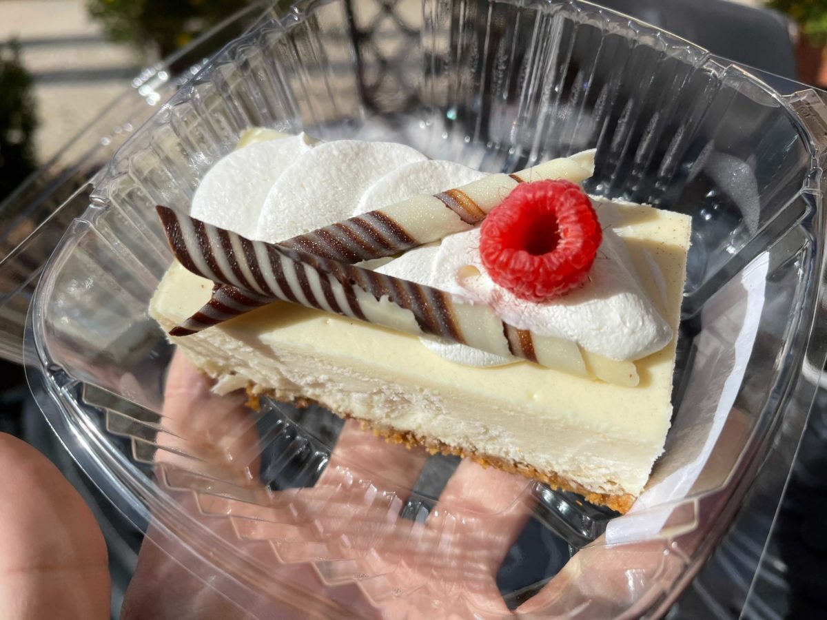 sals-market-deli-cheesecake-8