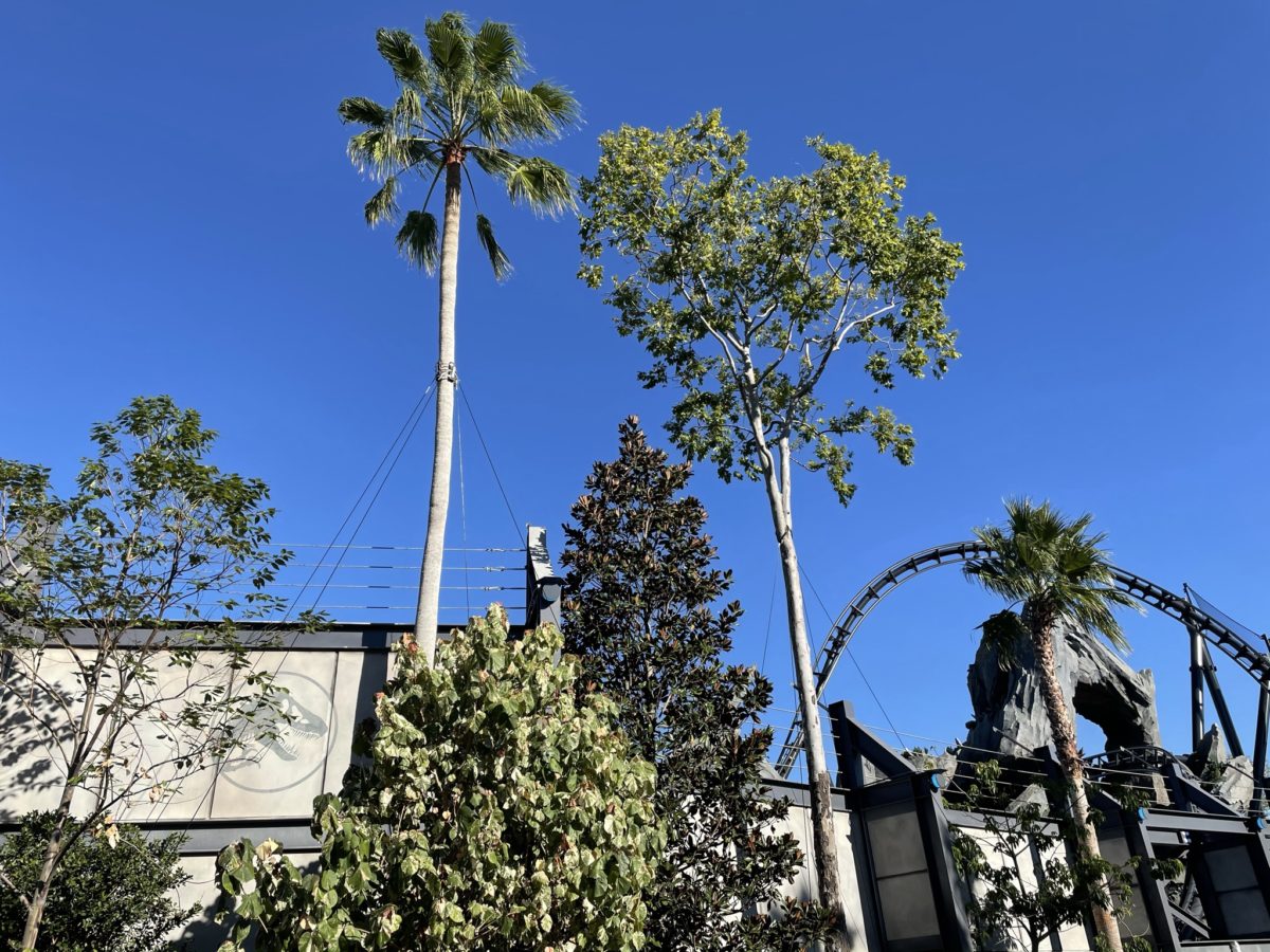 universal-orlando-photo-report-12-17-20-64-9275269
