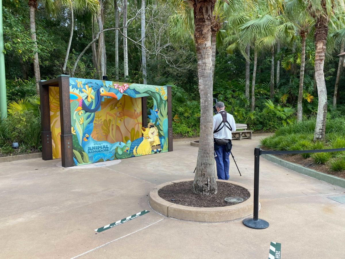 animal-kingdom-up-photopass-photo-op-1-7548602