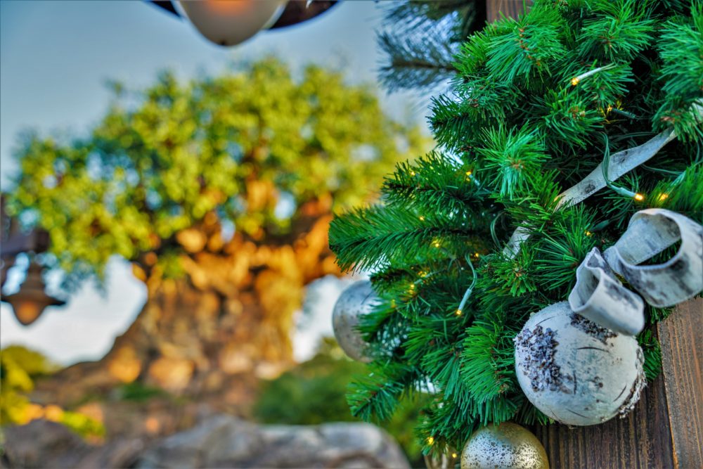 Christmas Decorations at Animal Kingdom with Tree of Life