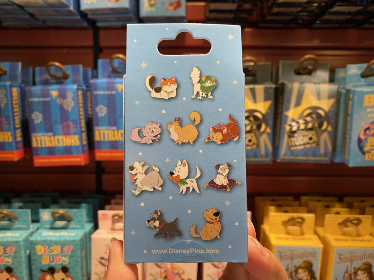 Disney-Dog-and-Cat-Open-Edition-Mystery-Collection-Pin-Box-Back-Magic-Kingdom-01082021-4984376