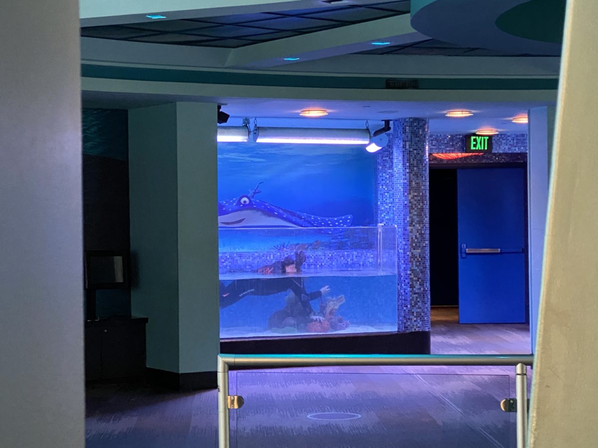 diver-photographing-rays-turtle-talk-with-crush-the-seas-pavilion-epcot-01132021-7743912