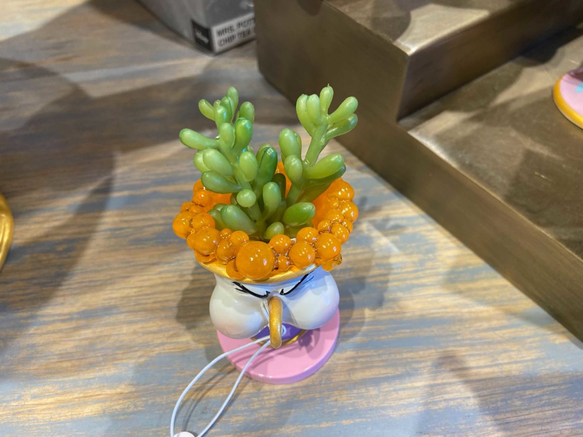 image-from-ios-12-24