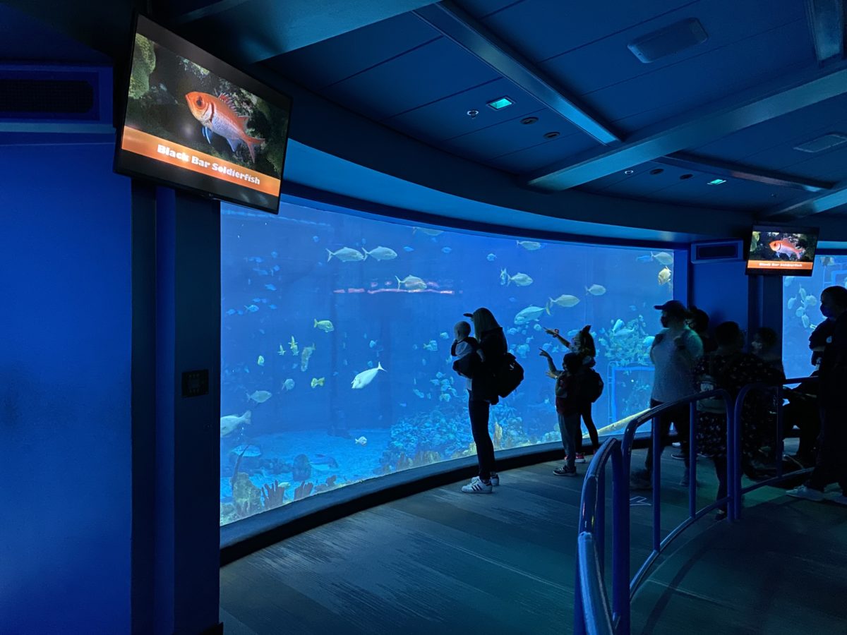 the-seas-pavilion-salt-water-tank-window-maintenance-completed-epcot-01112021-4575282