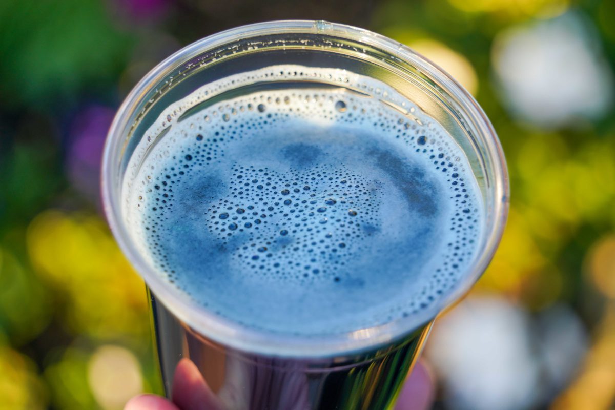 blue-raspberry-blonde-ale-5-9621825