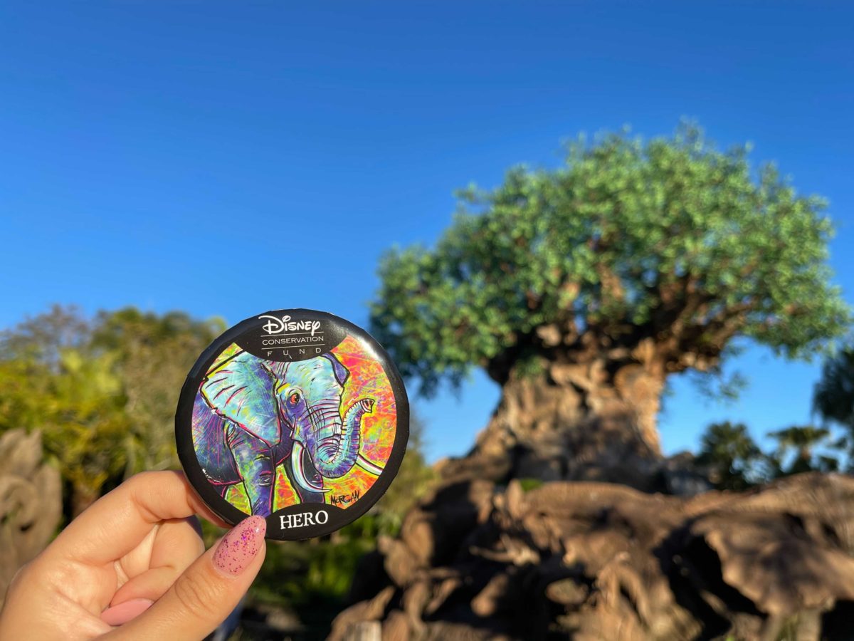 conservation-button-2
