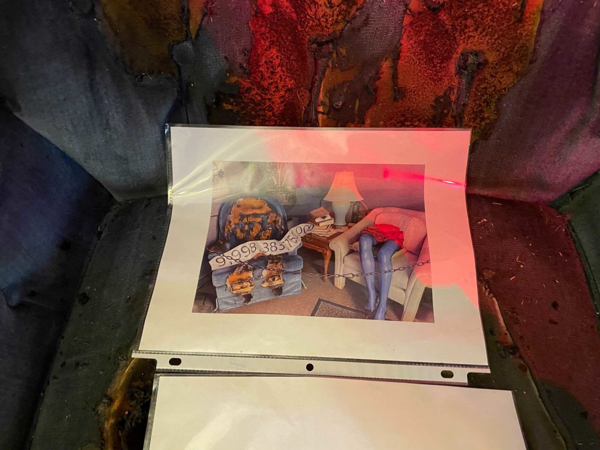 universal-orlando-photo-report-1-3-21-29-3070422