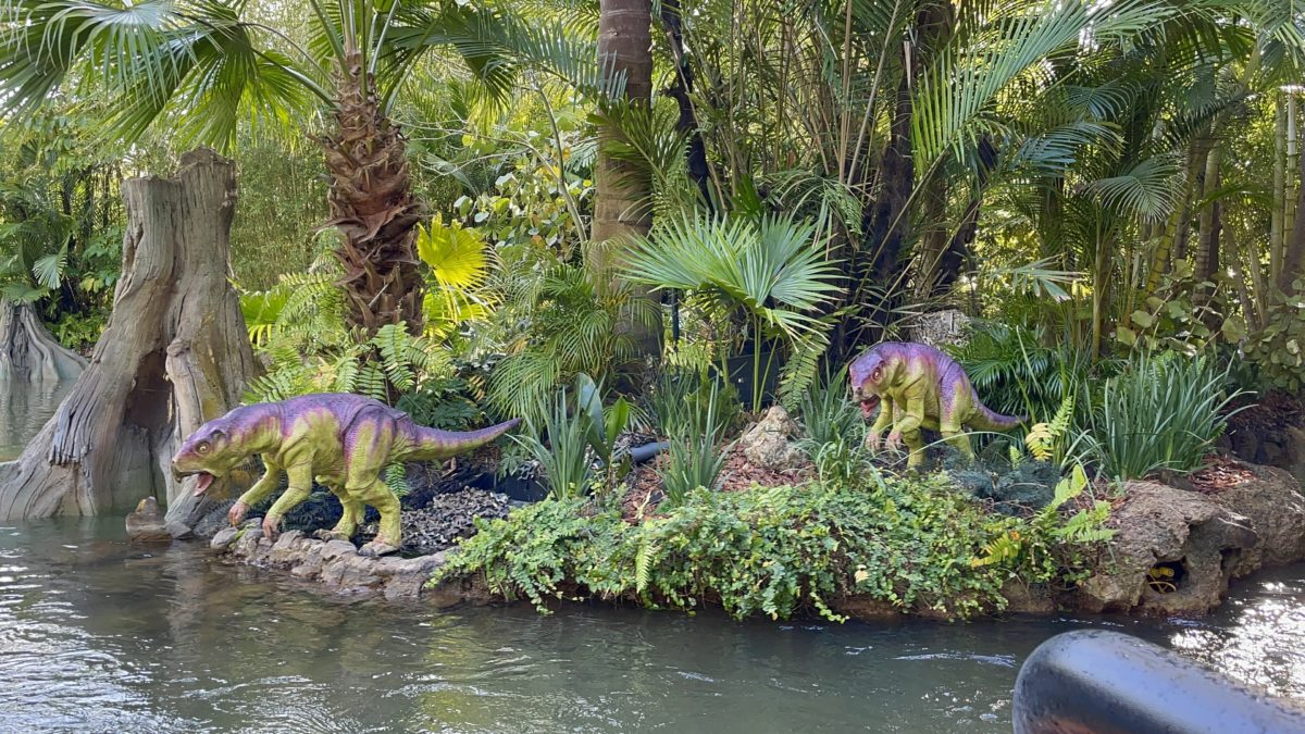 universal-orlando-photo-report-1-30-21-32-4325339