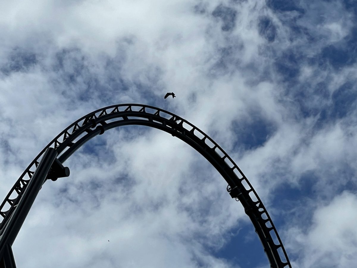 universal-orlando-photo-report-12-31-20-207-8682215