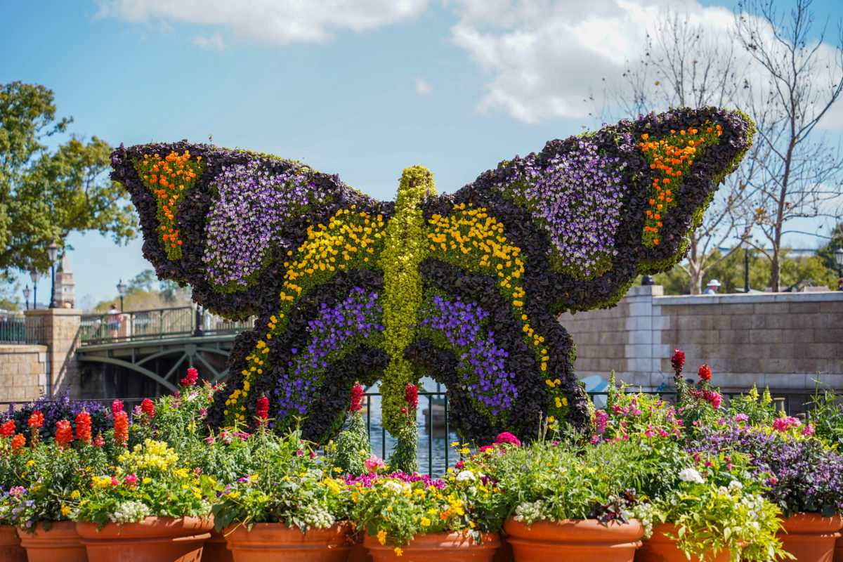 butterfly-topiary-2-28-21-5519268