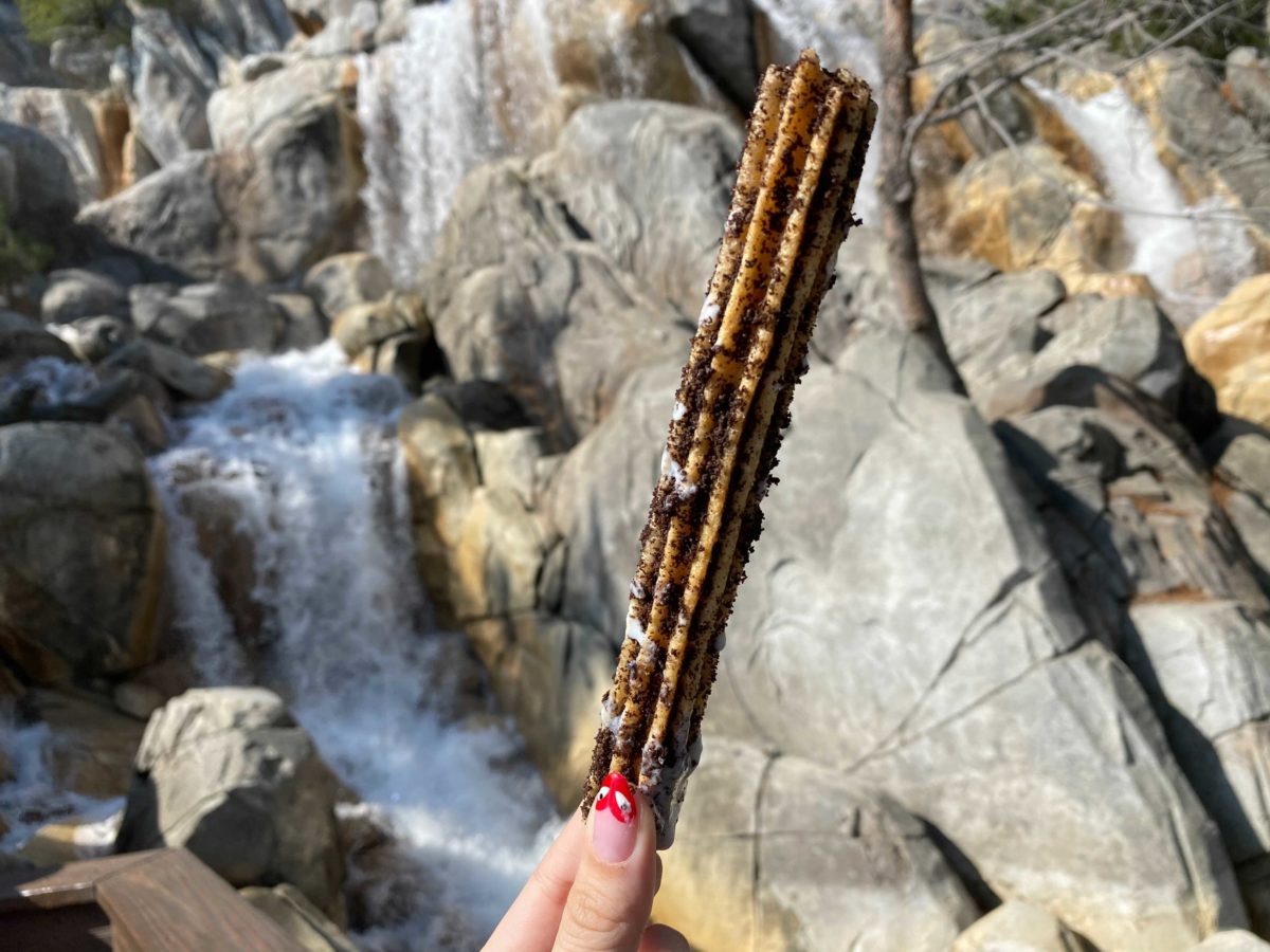 chocolate-crumble-pineapple-churro-