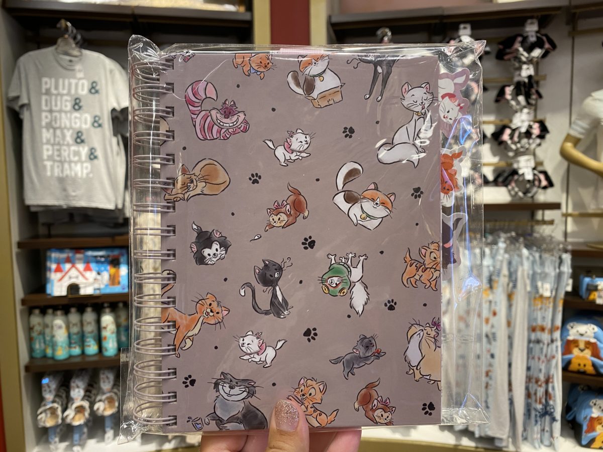 disney-cats-journal-hollywood-studios-02052021-4985755