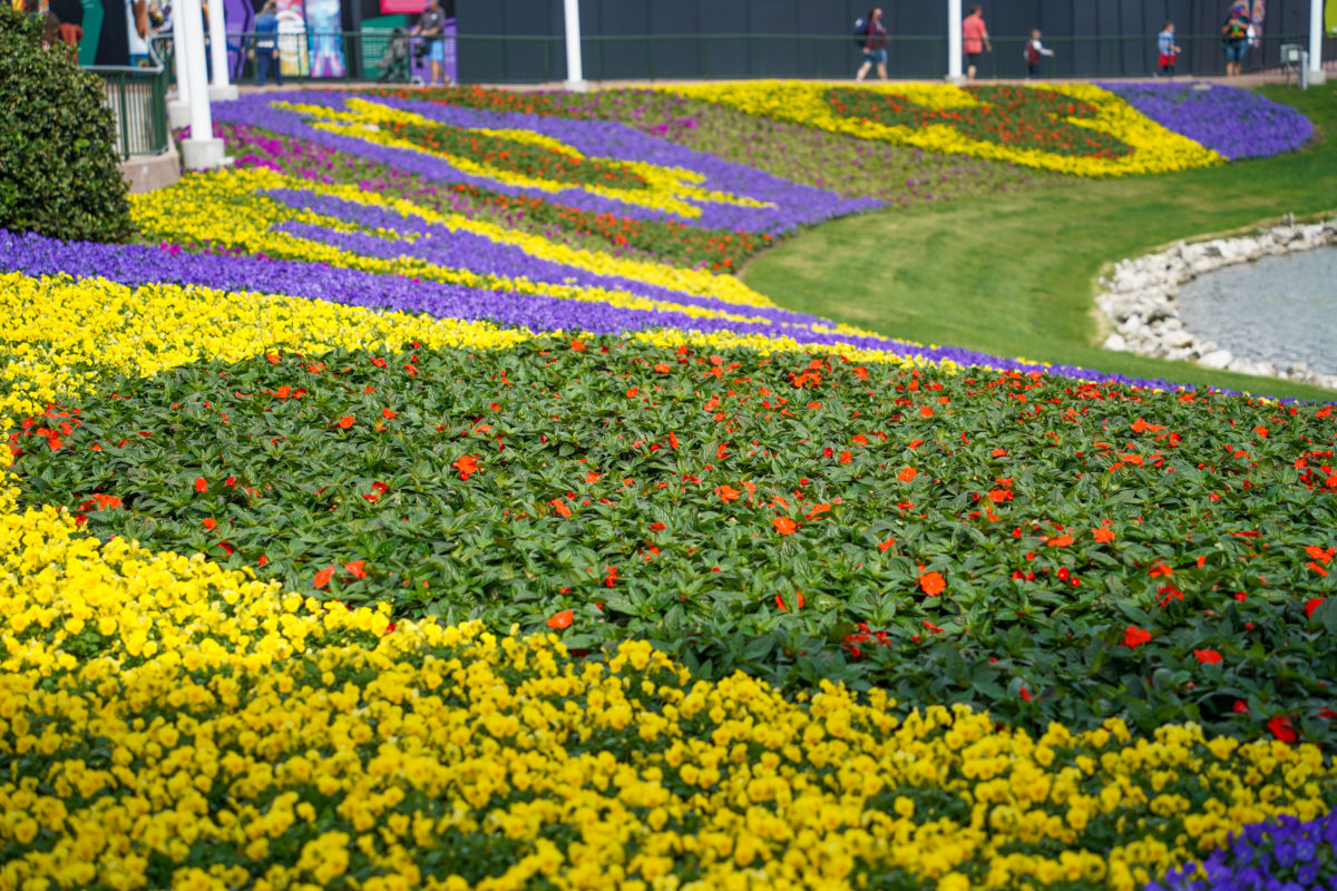 festival-of-the-arts-flowers-2-21-21-2-7664657