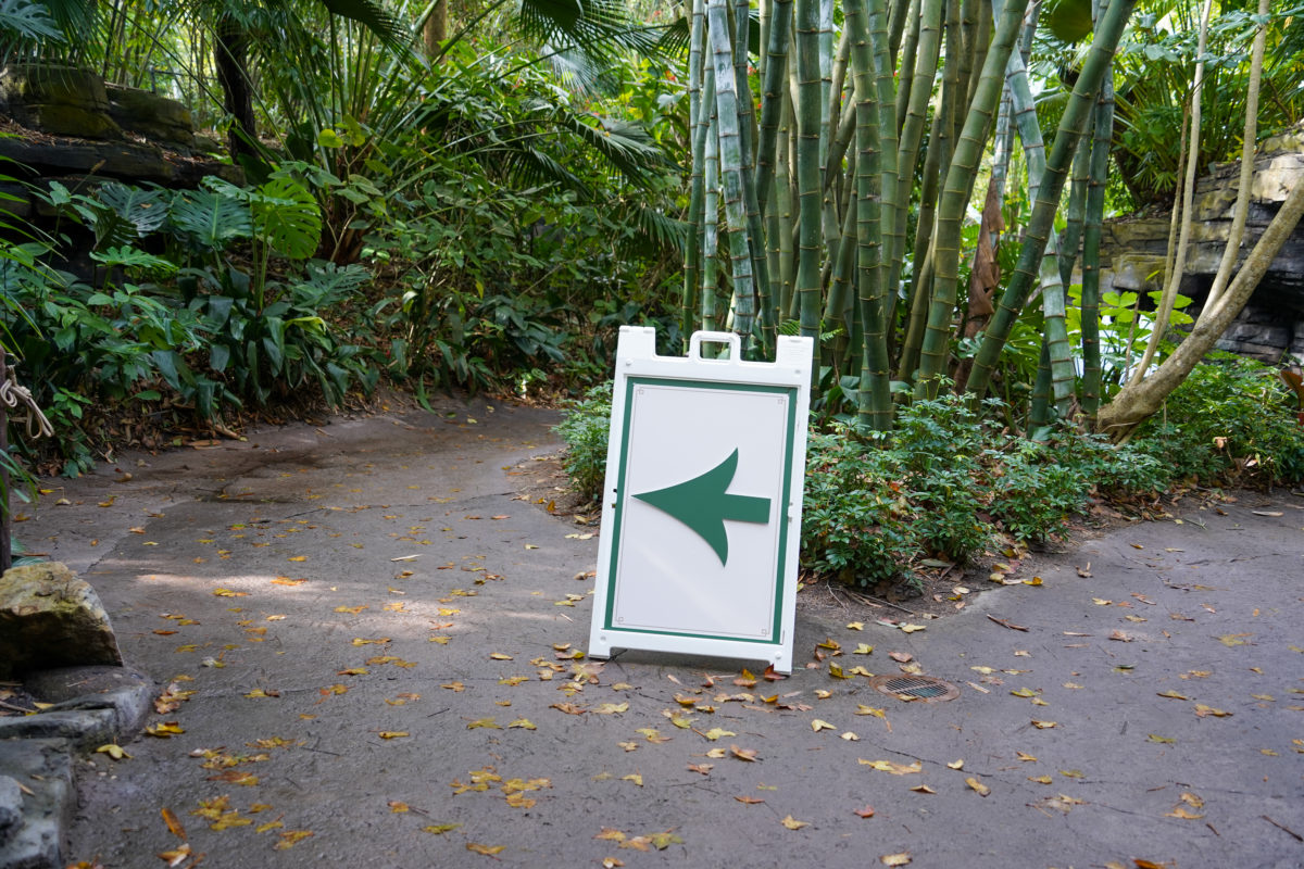 gorilla-falls-pathway-2-7-21-2-8390417