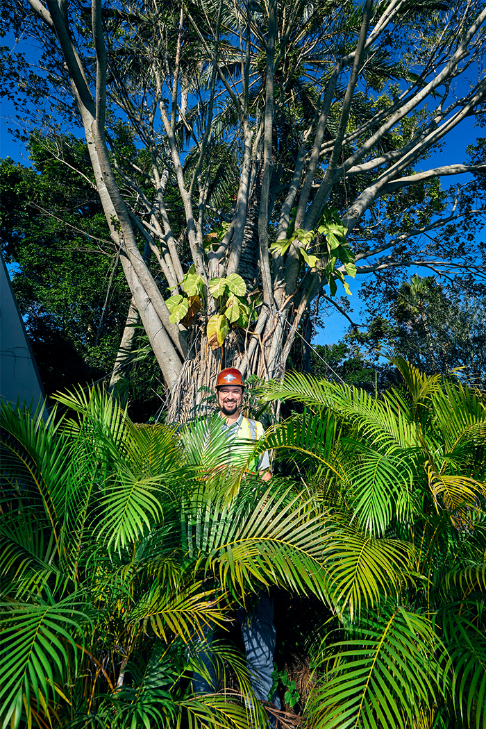 jurassic-park-plant-life-2