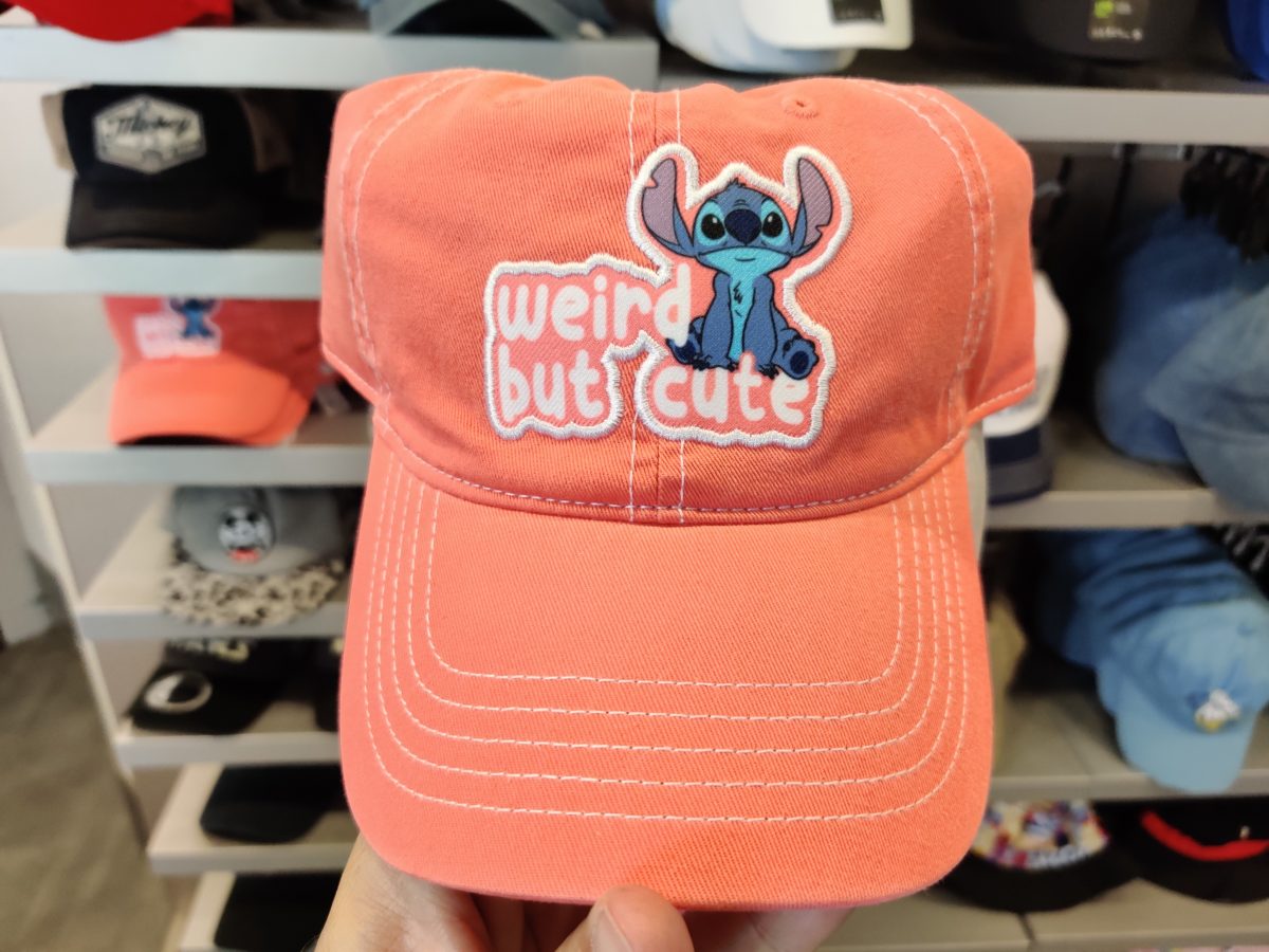 stitch-hat-2-27-21-1-6450836