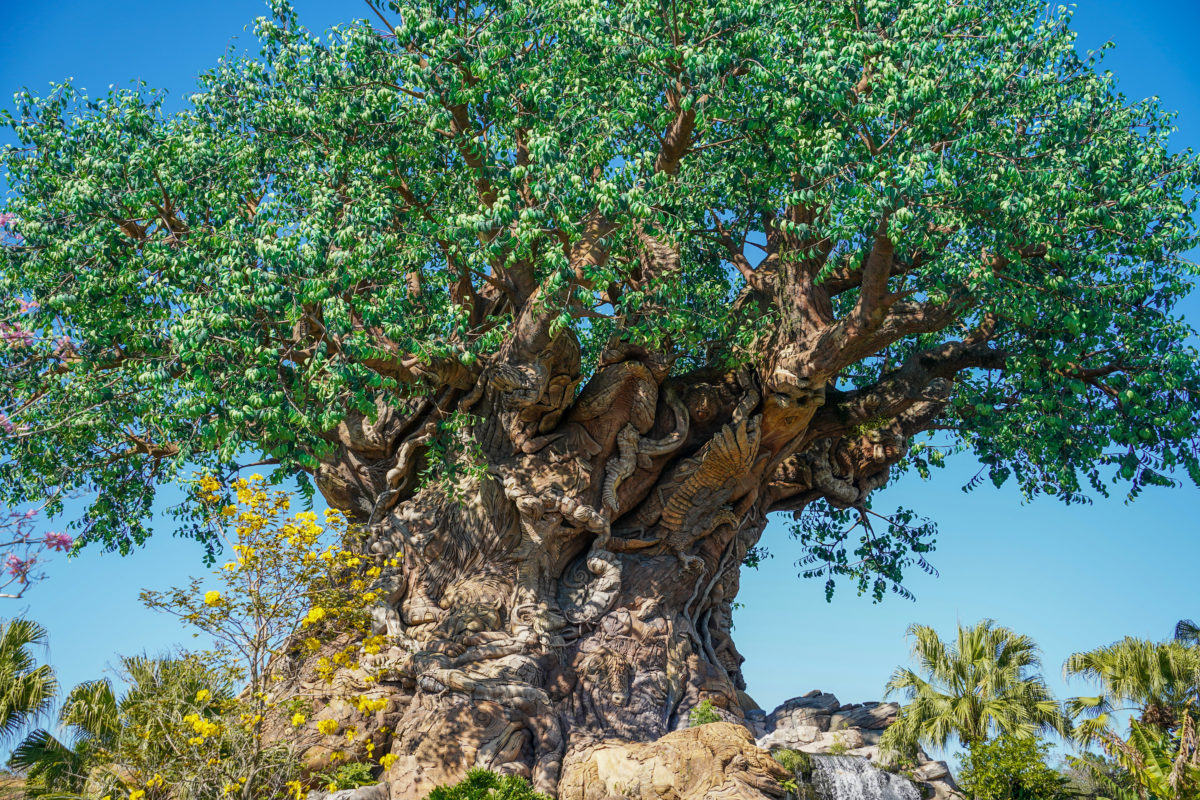 tree-of-life-2-20-21-2571667