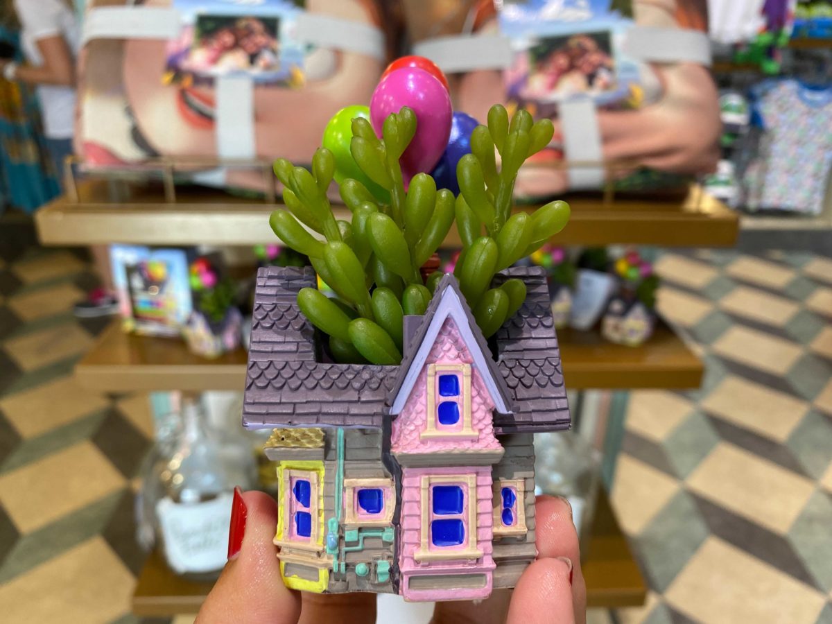 up-succulent-pot-4