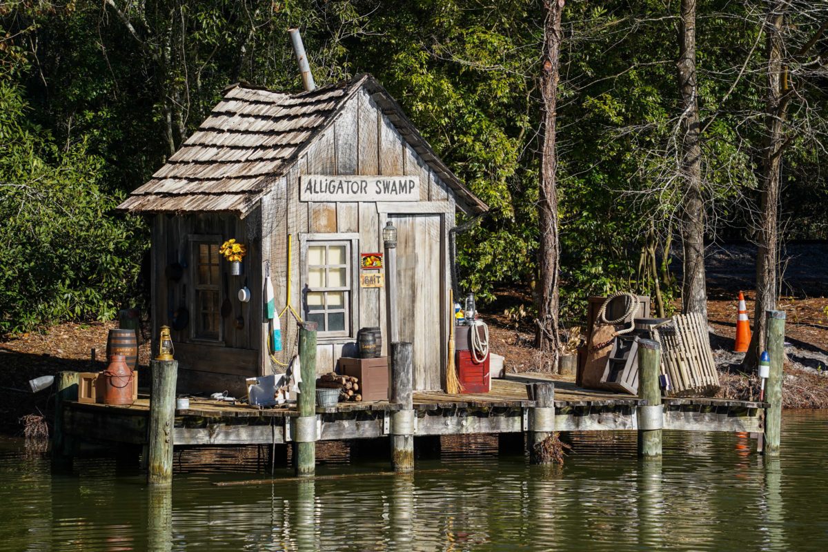 alligator-swamp-dock-1