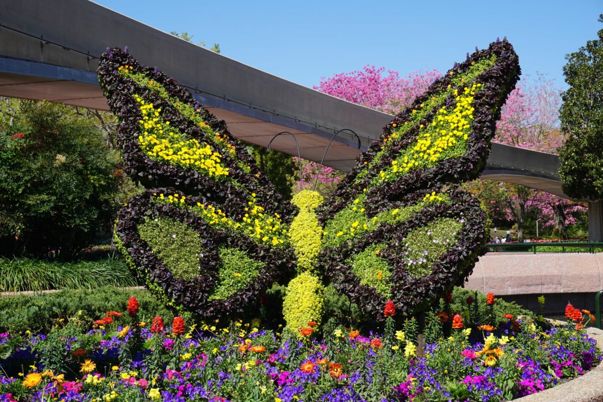epcot-flower-and-garden-topiaries-44